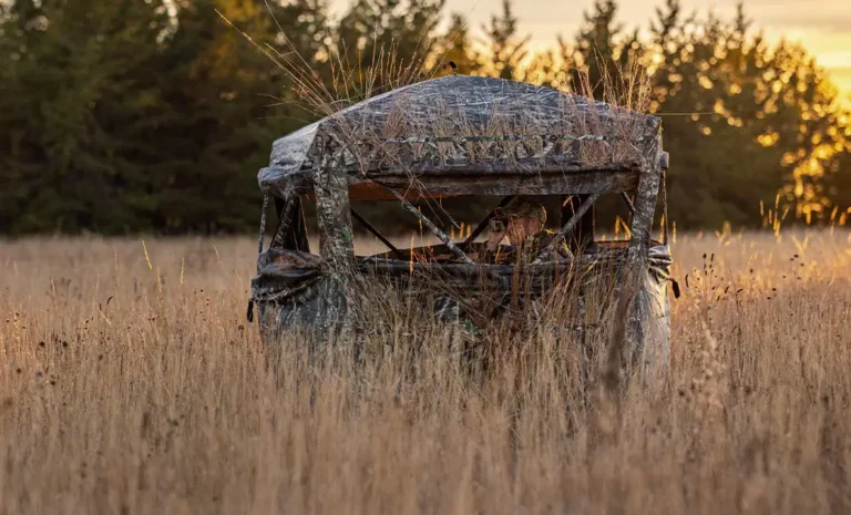 Stay Hidden, Hunt Smarter: Choosing the Best Hunting Blind