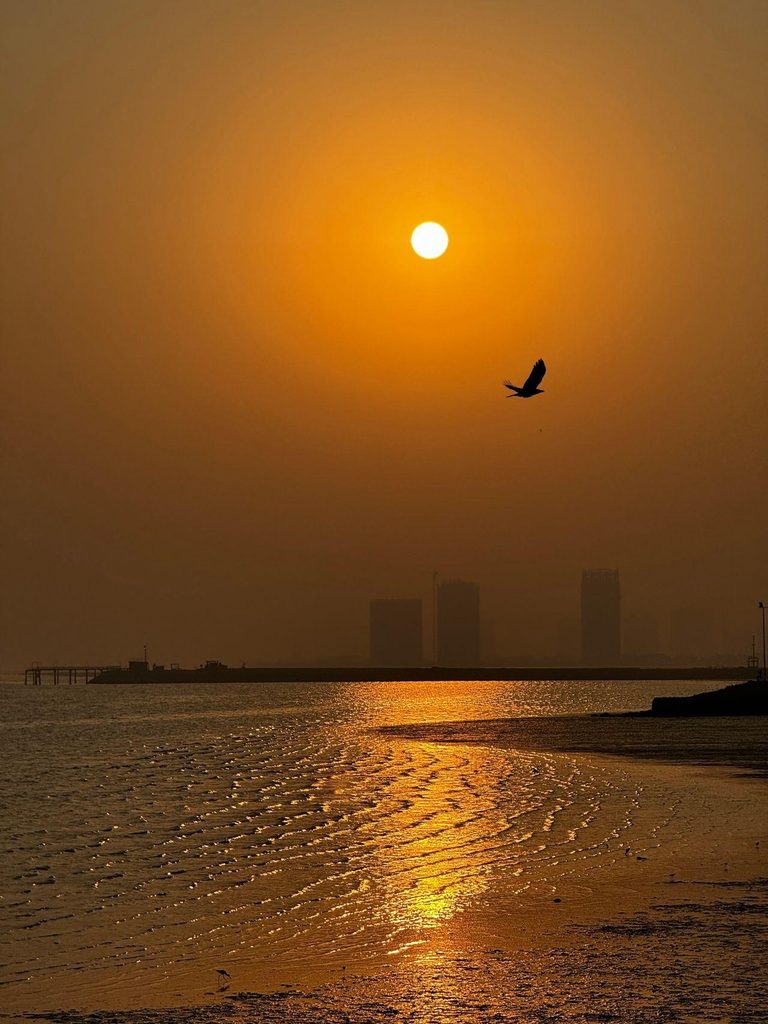 Karachi Stays Out After Sunset